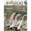 Revista AVIOCIO nº18