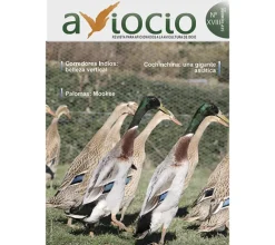 Revista AVIOCIO nº18