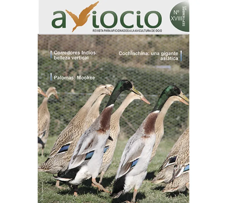 Revista AVIOCIO nº18
