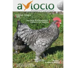 Revista AVIOCIO nº20