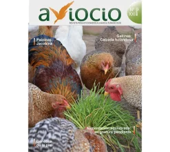 Revista AVIOCIO nº21