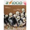 Revista AVIOCIO nº23