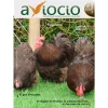Revista AVIOCIO nº24