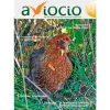 Revista AVIOCIO nº25