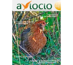 Revista AVIOCIO nº25