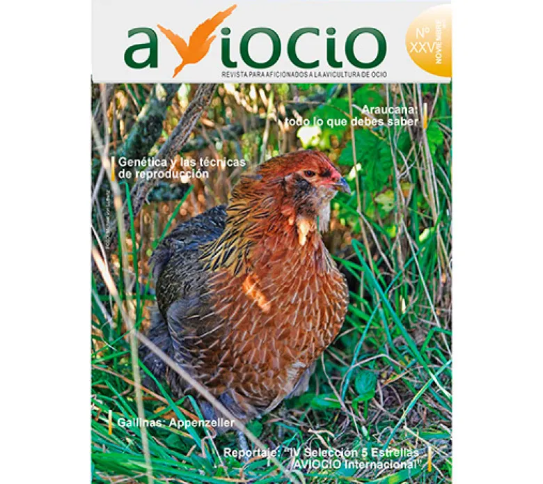 Revista AVIOCIO nº25
