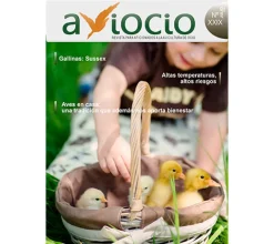 Revista AVIOCIO nº29