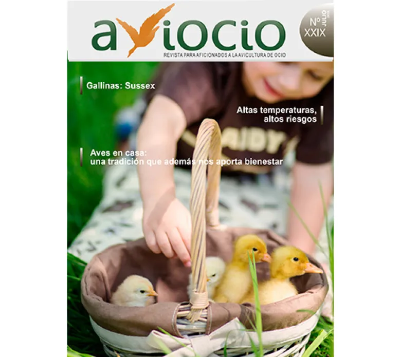 Revista AVIOCIO nº29