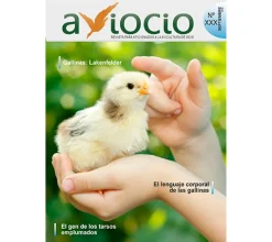 Revista AVIOCIO nº30
