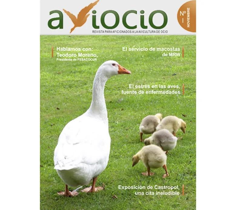 Revista AVIOCIO nº 1