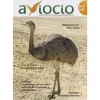 Revista AVIOCIO nº 4