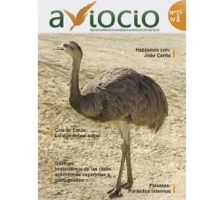 Revista AVIOCIO nº 4
