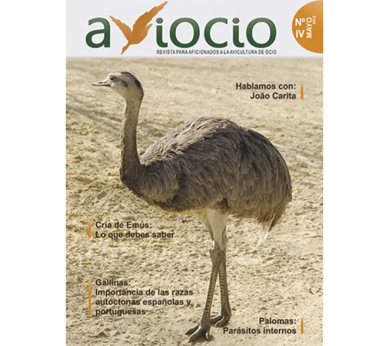 Revista AVIOCIO nº 4