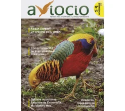 Revista AVIOCIO nº 7