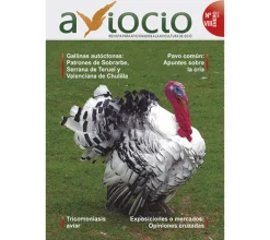 Revista AVIOCIO nº 8