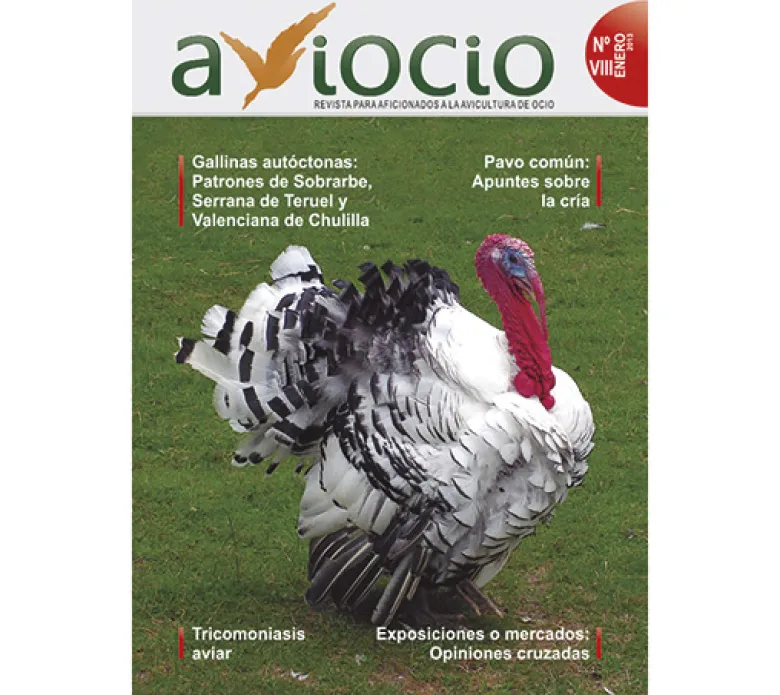 Revista AVIOCIO nº 8