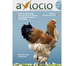 Revista AVIOCIO nº 9
