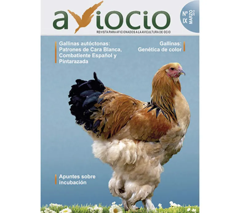 Revista AVIOCIO nº 9