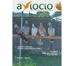 Revista AVIOCIO Nº32