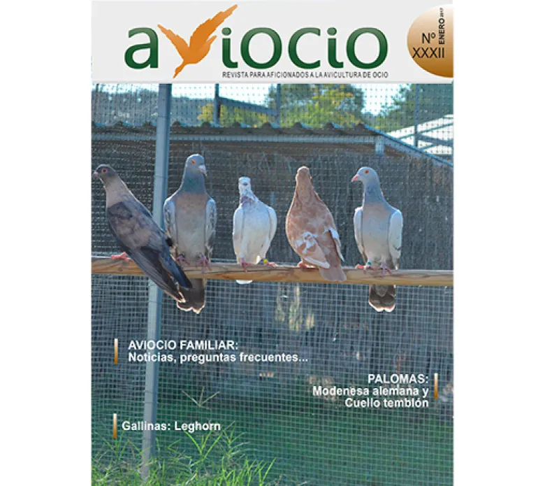Revista AVIOCIO Nº32