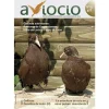 Revista AVIOCIO nº11