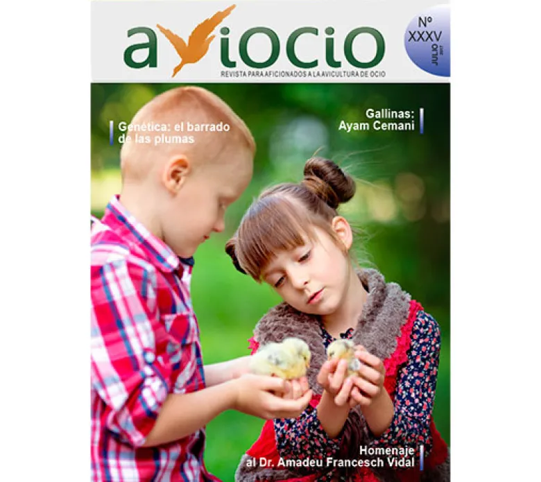 Revista AVIOCIO Nº35