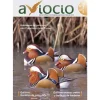 Revista AVIOCIO nº12