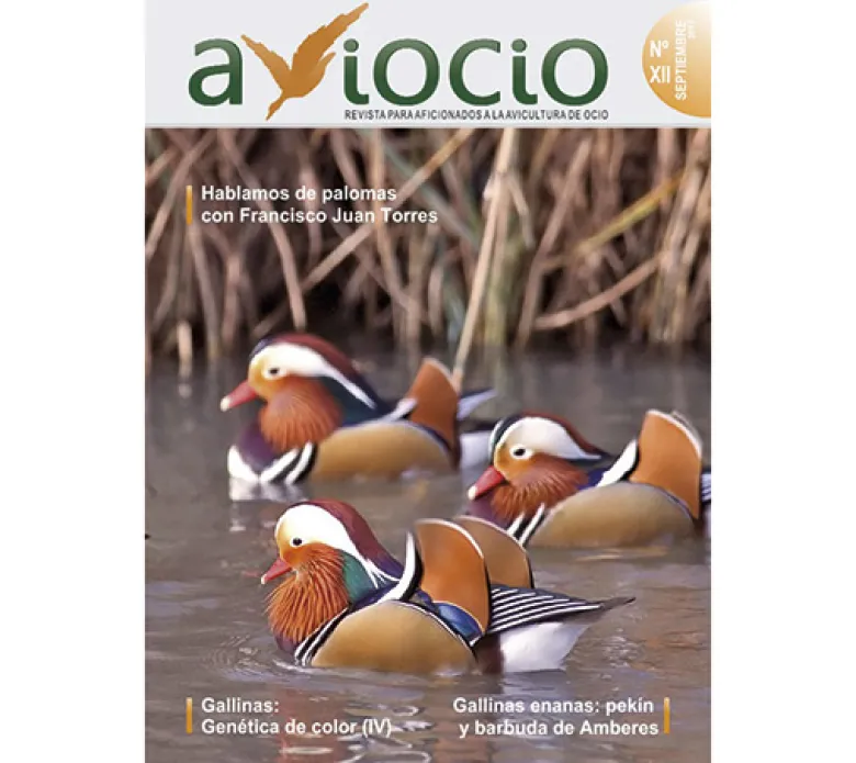 Revista AVIOCIO nº12