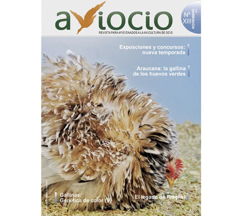 Revista AVIOCIO nº13
