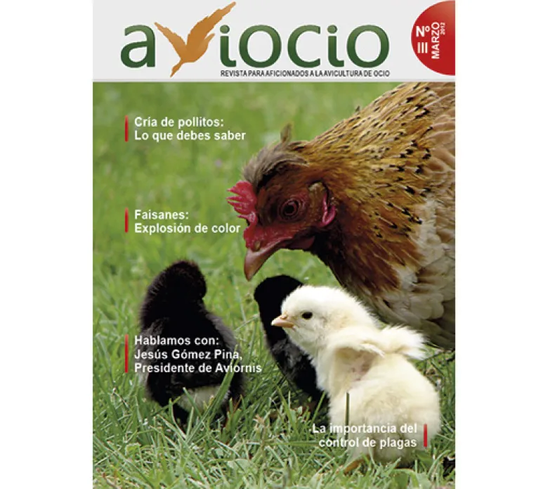 Revista AVIOCIO nº 3