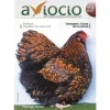 Revista AVIOCIO nº14
