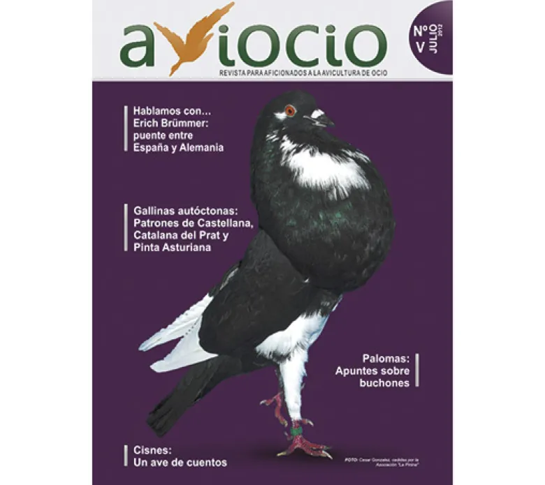 Revista AVIOCIO nº 5