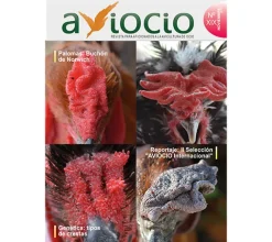 Revista AVIOCIO nº19