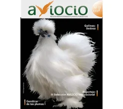 Revista AVIOCIO nº22