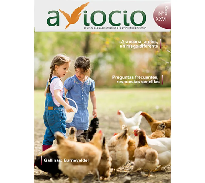 Revista AVIOCIO nº26