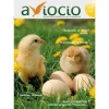Revista AVIOCIO nº27