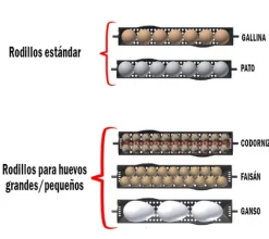 Rodillos adicionales para huevos