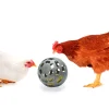 Snack ball