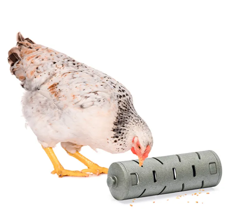Snack roller