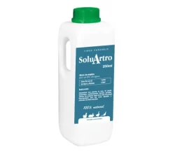 SoluArtro
