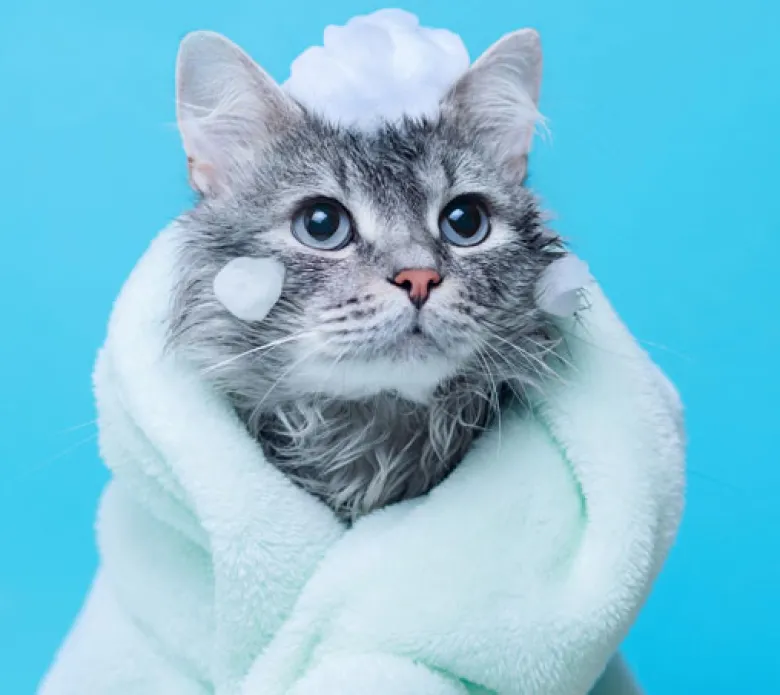 SoluBaño