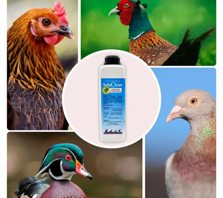SoluClean