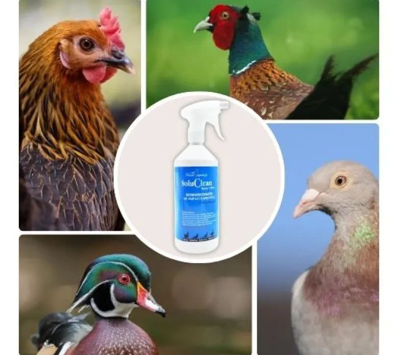 SoluClean Spray