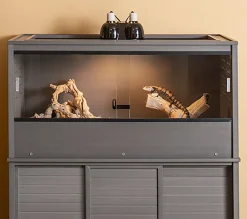 Terrario MOJAVE
