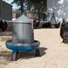 Tolva aves plástico reciclado con patas