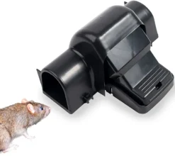 Trampa para ratas
