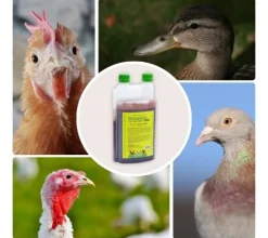 Vitamínico para Cría y Reproducción de Aves