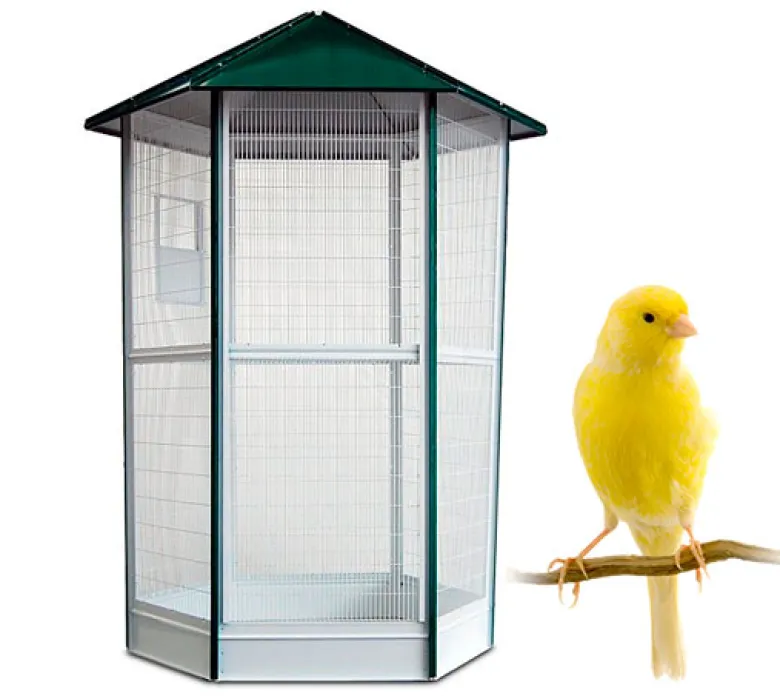 Voladero Java para pájaros