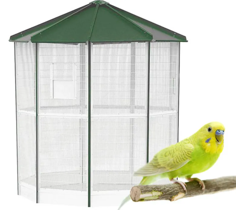 Voladero Manaos para pájaros